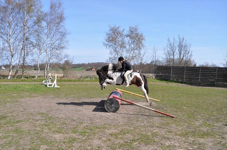 Islænder lokkur billede 4