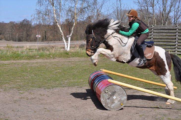 Islænder lokkur billede 9