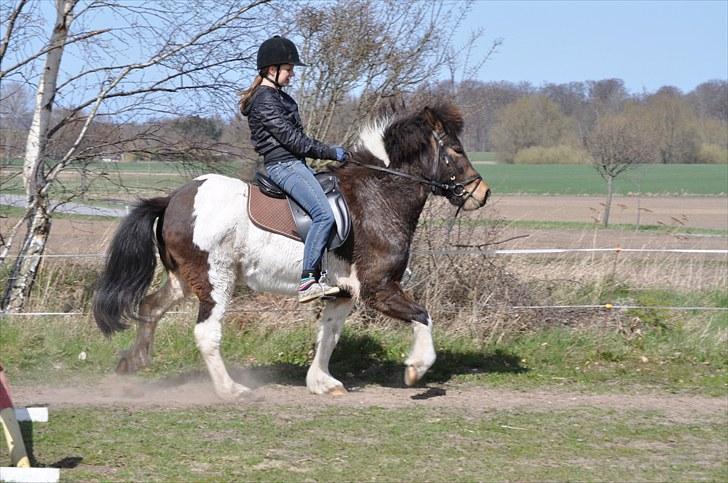 Islænder lokkur billede 10