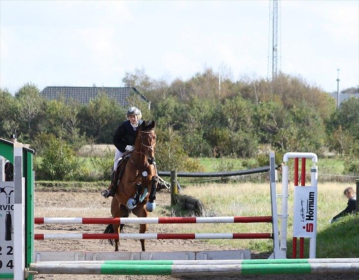Tysk Oldenburger Elnino<3 <3 ¤R.I.P¤  - LD i HURK :D Fotograf: Diana Klein :D  mange tak :D  billede 12