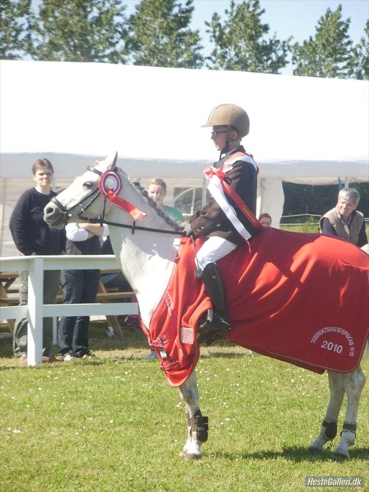 Anden særlig race Silverdream  billede 1