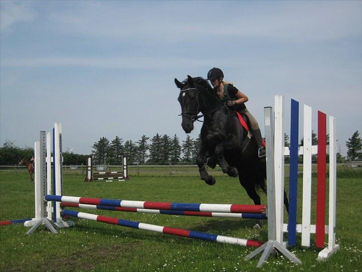 Oldenborg Cassiopeia (TUT) - Spring på ridelejr 2010 billede 5