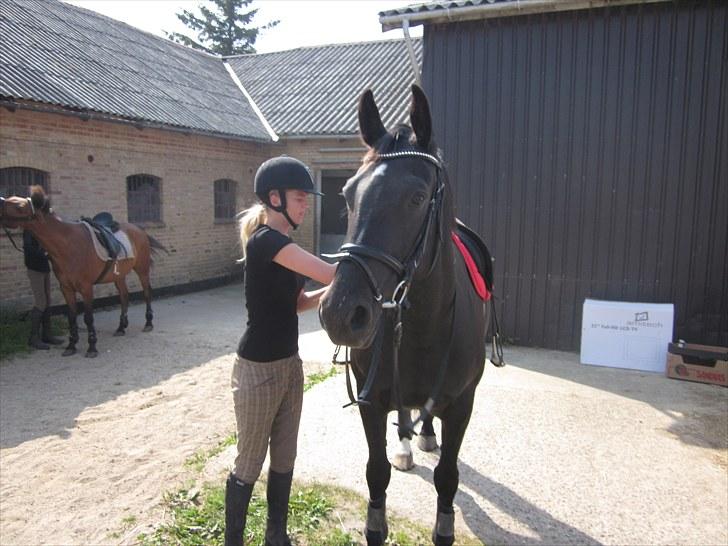 Oldenborg Cassiopeia (TUT) - Klar til undervisning - ridelejr 2010 billede 7