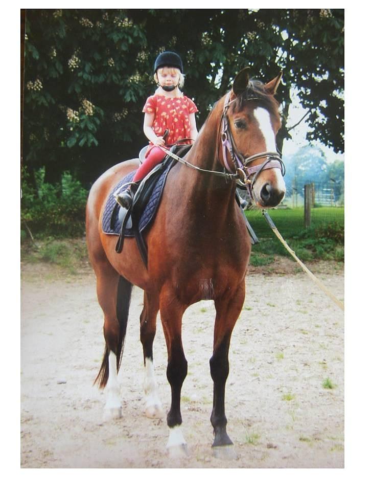 Trakehner | Ultimo RIP - Mig der rider Ultimo<3 billede 2