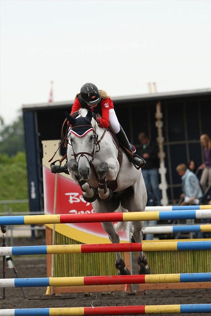 Oldenborg Cancan 4 - Til DM på vilhelmsborg 2010 - MB billede 16