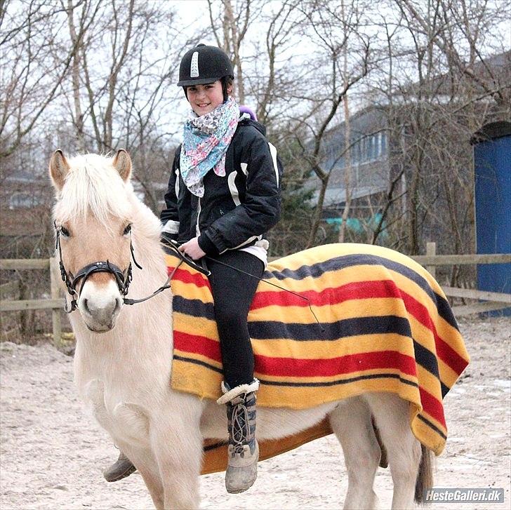 Fjordhest  Bjarke<3 | My life<3 <3  - 4) Mig og min elskede pony!!!!<3.. billede 5