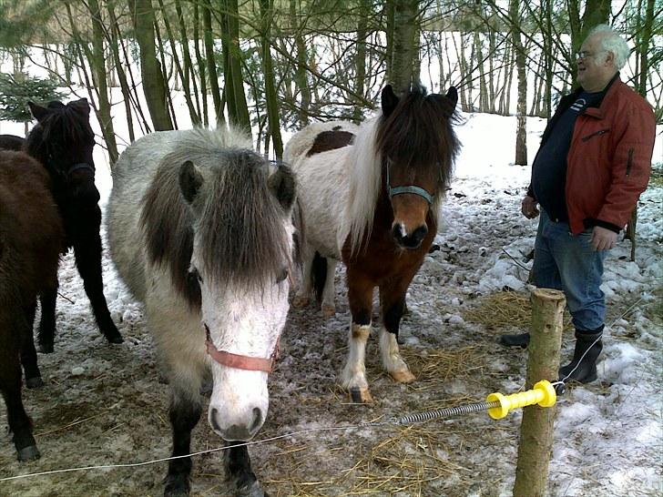 Islænder vera - day that changed my life- første gang jeg så min smukke ismule<3 jeg vidste bare det var os to tøsen<3 billede 11