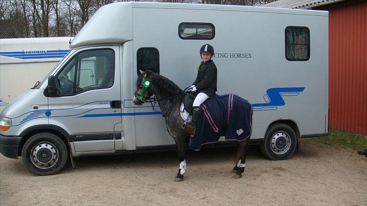 Dartmoor Innis Jerry SOLGT  - vi vandt en 4 plads i  lb vi var godtnok gode den dag  billede 5