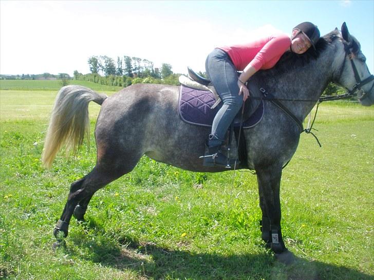 Anden særlig race Zikka / sascha billede 2