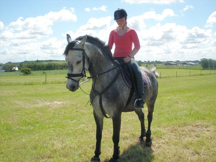 Anden særlig race Zikka / sascha billede 3