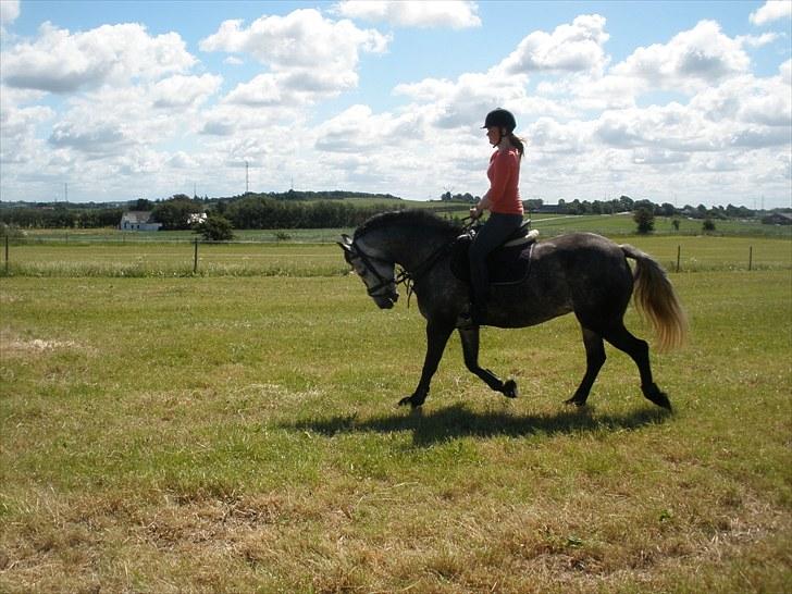 Anden særlig race Zikka / sascha billede 5