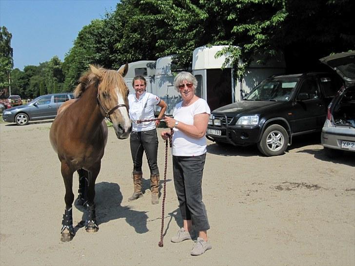 Anden særlig race Golden Amber..Hjemme igen<3 - ...Min mor var dagens groom  billede 10