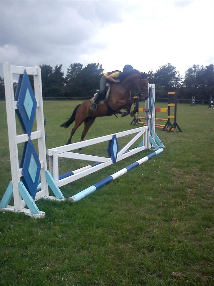 Anden særlig race Chanel - Taget af Rikke billede 2