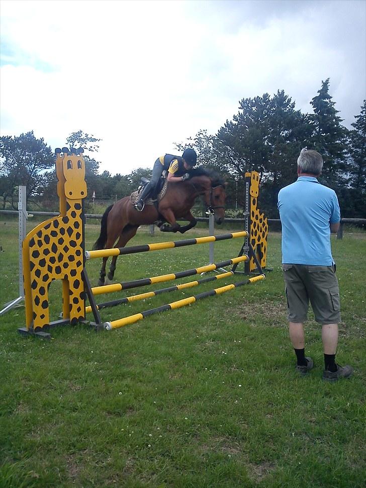 Anden særlig race Chanel - Taget af Rikke billede 3