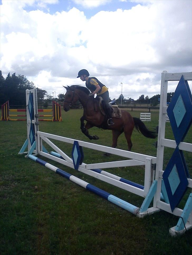 Anden særlig race Chanel - Taget af Rikke billede 9