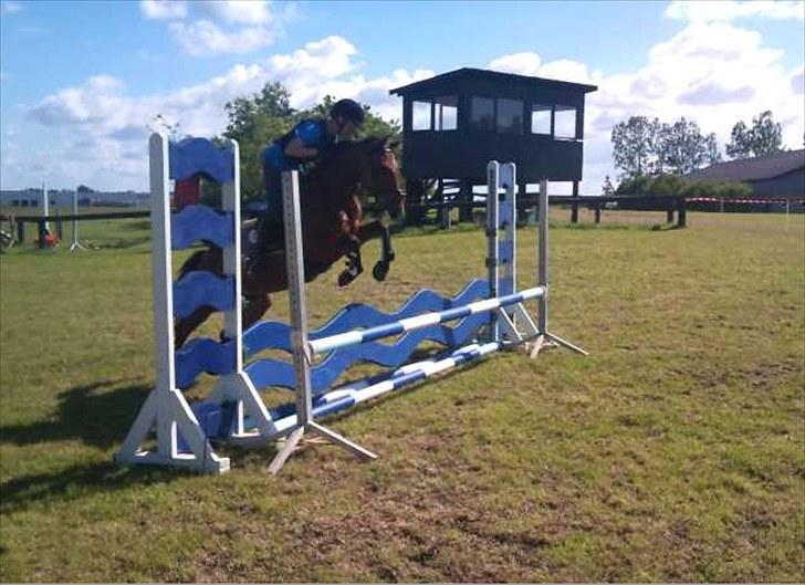 Anden særlig race Chanel - Taget af Sarah billede 20