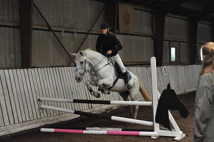 Anden særlig race Serina-Plet - lækker hest at springe:D stævne på JORK billede 2