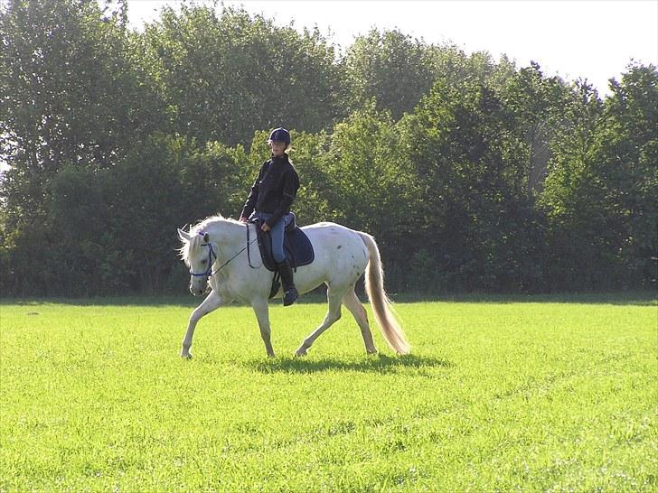 Anden særlig race Serina-Plet - elsker det billed:D Fotograf: Lulu billede 5