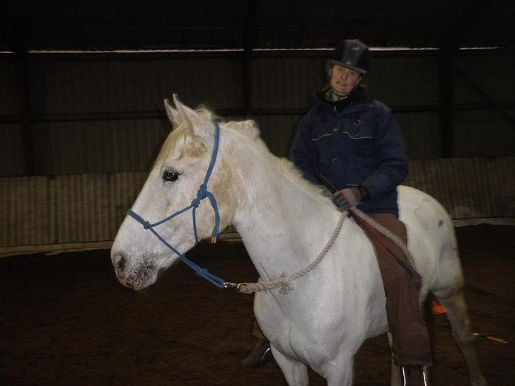 Anden særlig race Serina-Plet - Dirty???? en lille smugle - NEJ MEGET, det er endnu værre på den anden side??? Serina og Sabrina til HMS kursus/træning, 2. gang uden sadel efter jeg faldt af hende, jeg er mega stolt :D billede 10