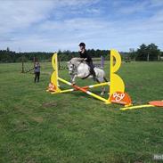 Anden særlig race Sofus 