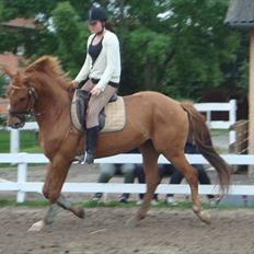 Anden særlig race Kaizer R.I.P love you <3 