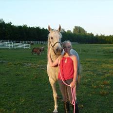 Anden særlig race Dezdeztina *låne Solgt*