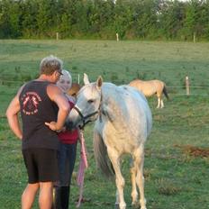 Anden særlig race Dezdeztina *låne Solgt*
