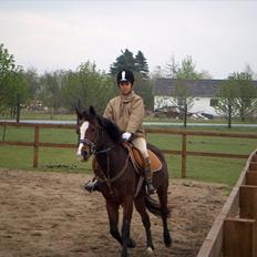 Anden særlig race Maddie "solgt"