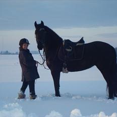 Frieser stormarkgaardens Zenia
