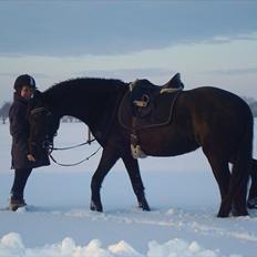 Frieser stormarkgaardens Zenia
