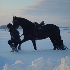 Frieser stormarkgaardens Zenia