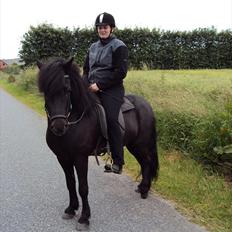 Islænder Hlynir Fra Gl. Essendrup