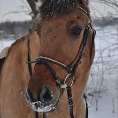 Anden særlig race | Alfons Åberg<3 *Part*