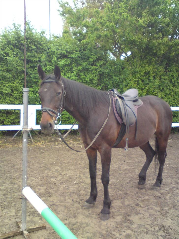 Traver bil(slut med at passe ham billede 5