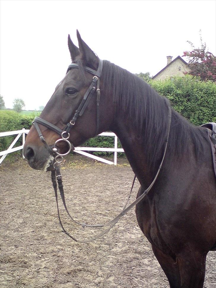 Traver bil(slut med at passe ham billede 6