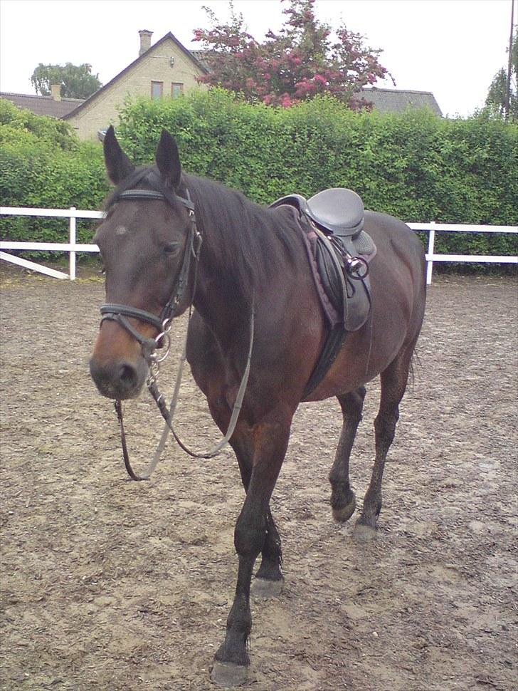 Traver bil(slut med at passe ham billede 10