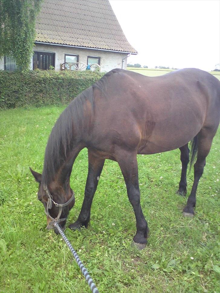 Traver bil(slut med at passe ham billede 12