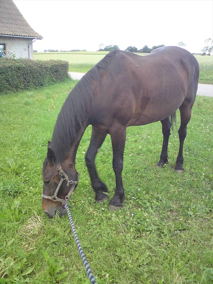 Traver bil(slut med at passe ham billede 13