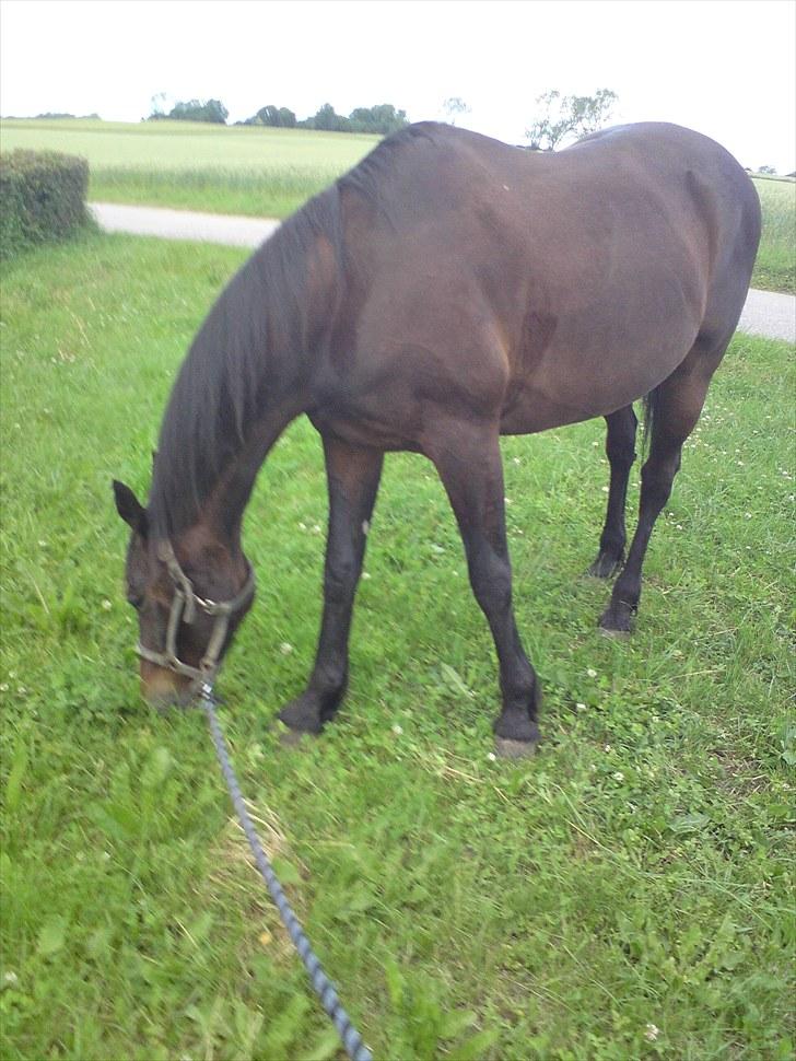 Traver bil(slut med at passe ham billede 14