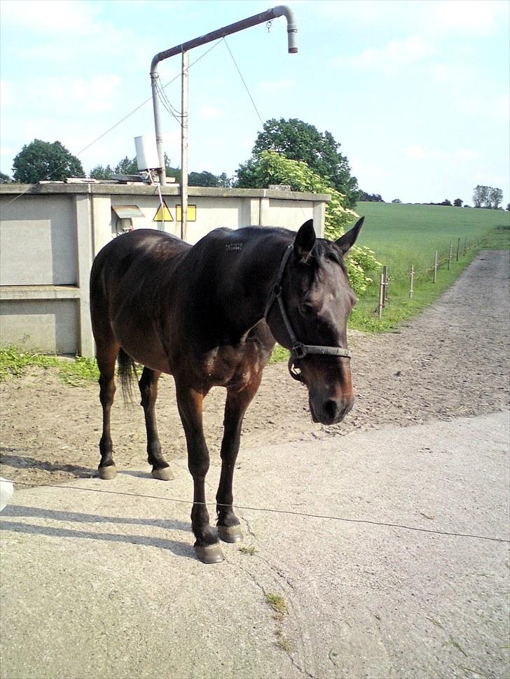 Traver bil(slut med at passe ham billede 15