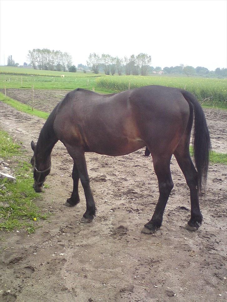 Traver bil(slut med at passe ham - farvel igen nu gider jeg sku ikke mere <3  billede 16