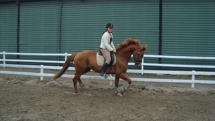 Anden særlig race Kaizer R.I.P love you <3  billede 8