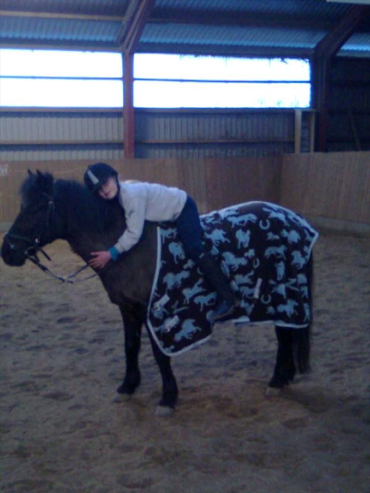 Anden særlig race Sorteper!!<3  - uden sadle<3 elsker dig sorte billede 10