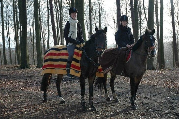 New Forest Margo<3 - Fs og Barbie, Block og Margo:-* En skridttur i skoven vinter 2011. billede 12