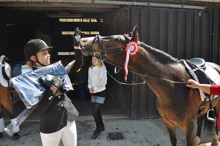 New Forest Margo<3 - efter at have vundet LC2! :-* smil! billede 16