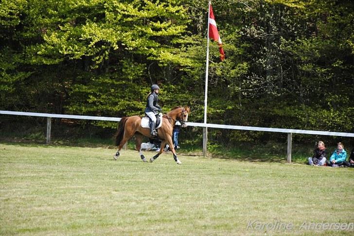 DSP ZIWAGO billede 7