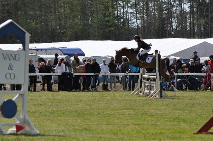 DSP ZIWAGO - la på mors. billede 8