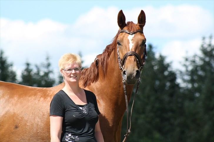 Hannoveraner Walther -  hentet hjem:-( - Vældig fint makkerpar, ikke? billede 1