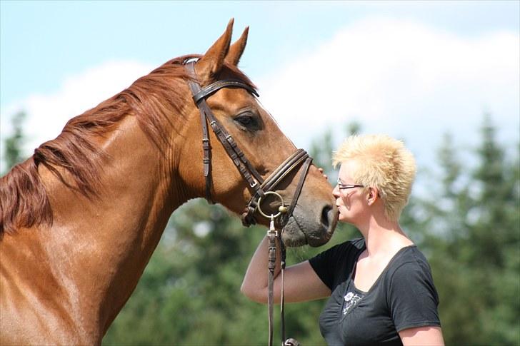 Hannoveraner Walther -  hentet hjem:-( - Kodak moment :-) billede 4