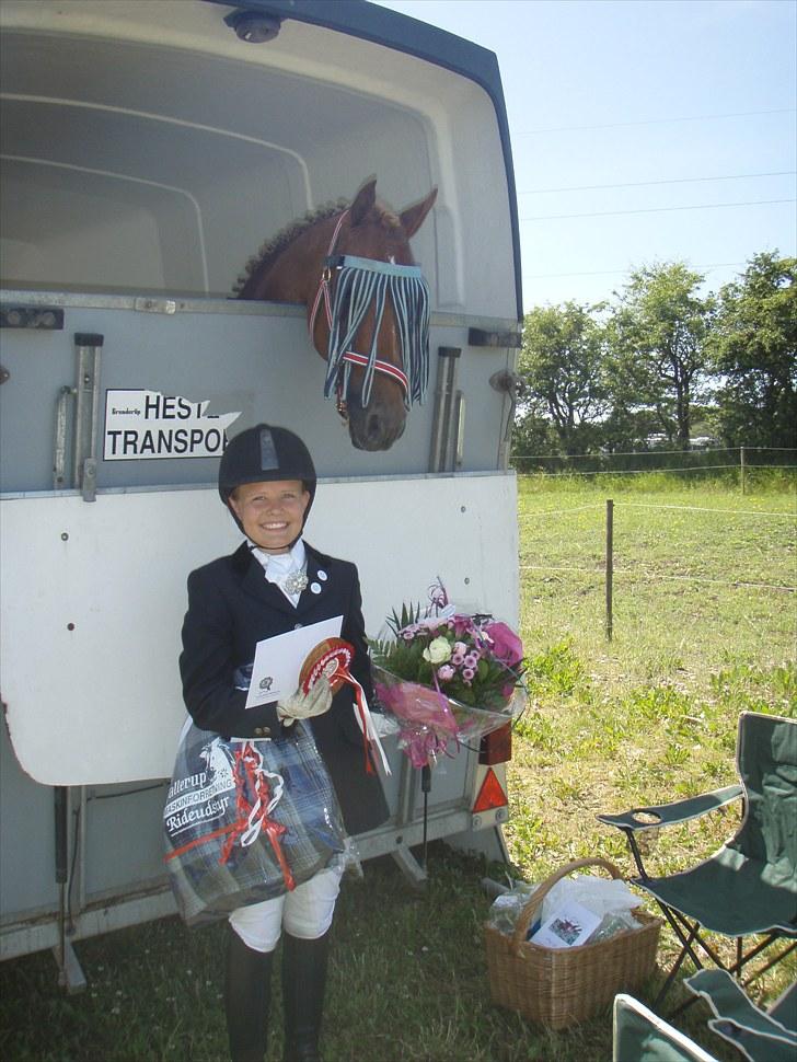 Welsh Pony af Cob-type (sec C) Westerhuis Jorik<3A pony!!! - Vinder af La6 i hjallerup billede 9